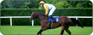Horse Racing